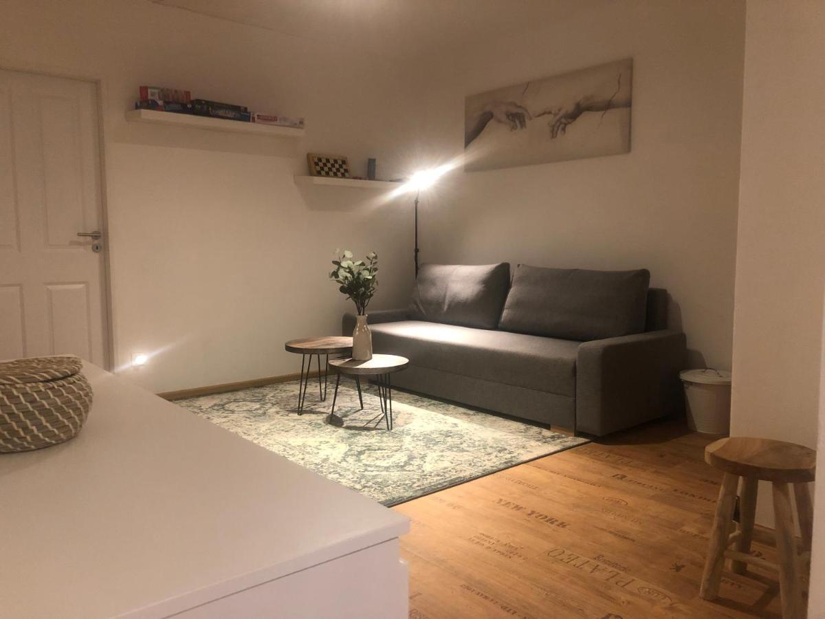 Casa Santini Villa Jáchymov Kültér fotó