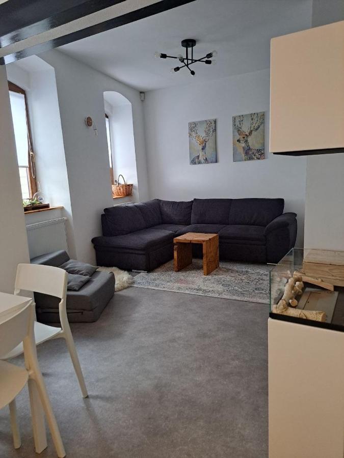 Casa Santini Villa Jáchymov Kültér fotó